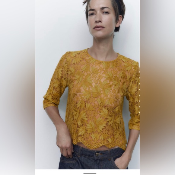 Zara floral lace blouse. Beautiful detailing. - Picture 2 of 8